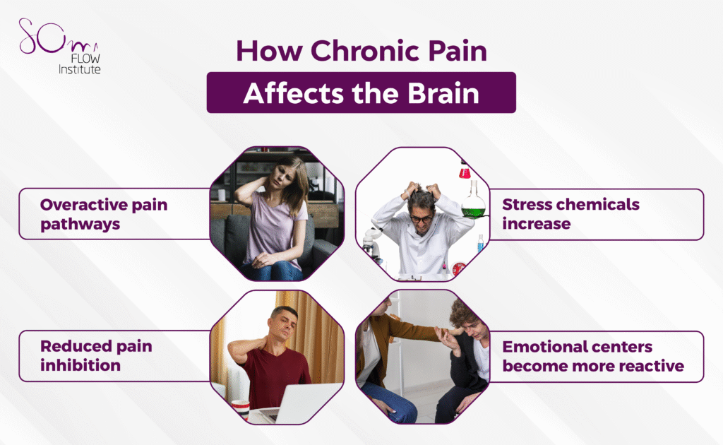 infographic showing four ways chronic pain changes brain function and stress responses